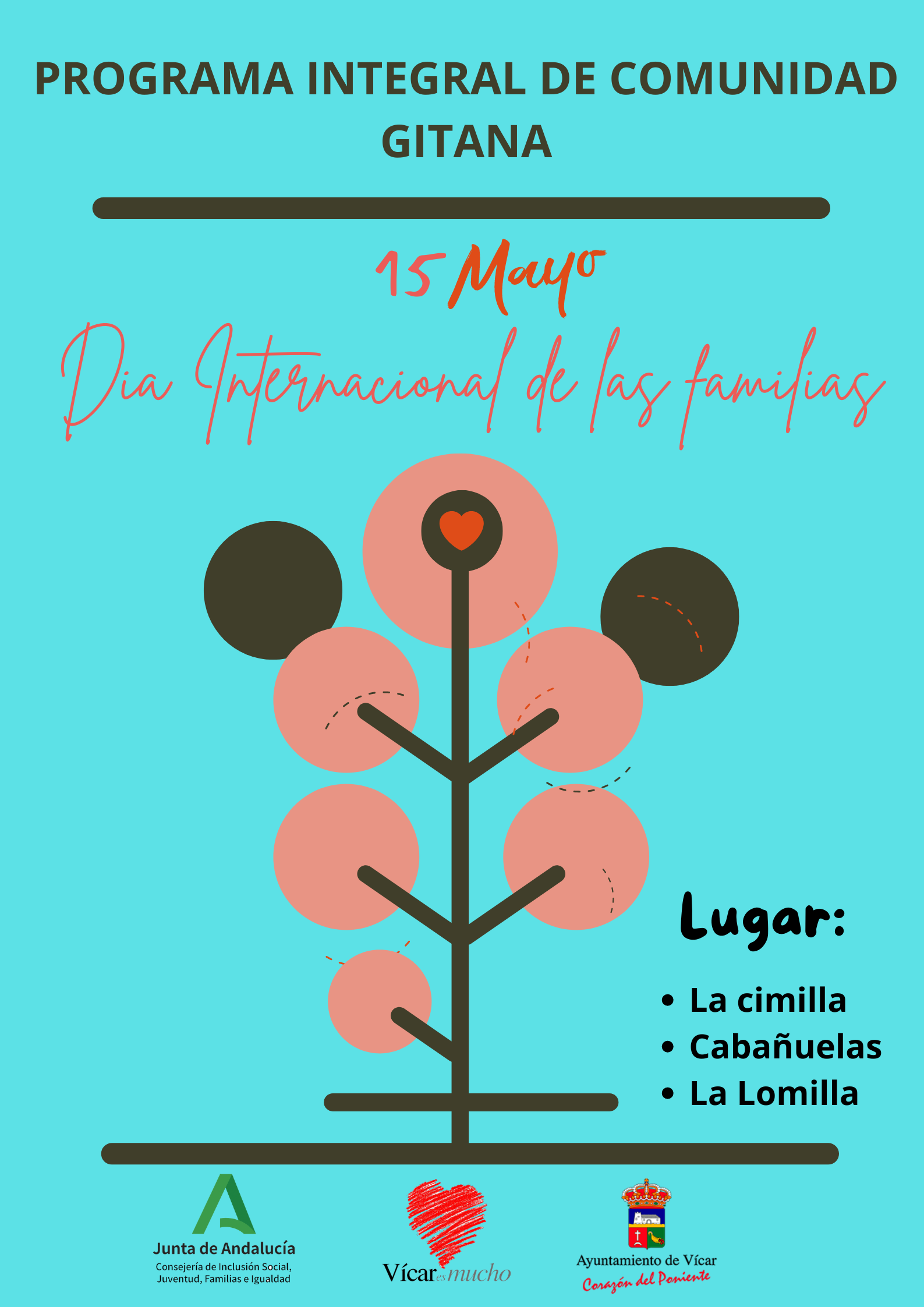 Ver imagen